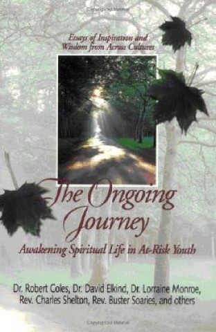 Kniha Ongoing Journey David Elkind