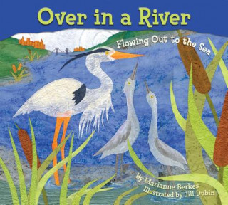 Книга Once in a River Marianne Berkes