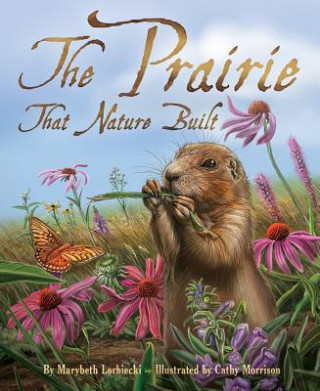Kniha Prairie That Nature Built Marybeth Lorbiecki