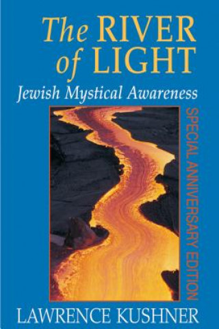 Kniha River of Light Rabbi Lawrence Kushner