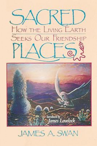 Buch Sacred Places James A. Swan