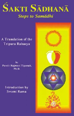 Livre Sakti Sadhana Rajmani Tigunait