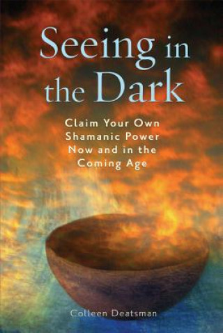 Kniha Seeing in the Dark Paul Bowersox