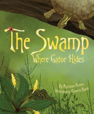 Carte The Swamp Where Gator Hides Marianne Berkes