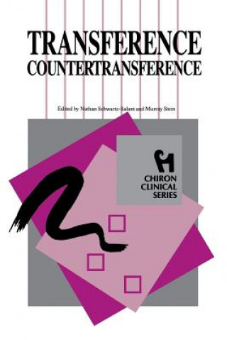 Kniha Transference - Countertransference Nathan Schwartz-Salant
