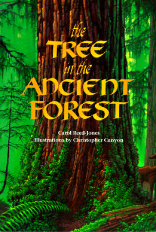Carte Tree in the Ancient Forest Carol Reed-Jones