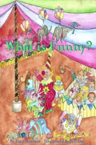 Könyv What is Funny? Etan Boritzer