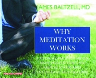 Knjiga Why Meditation Works James Baltzell
