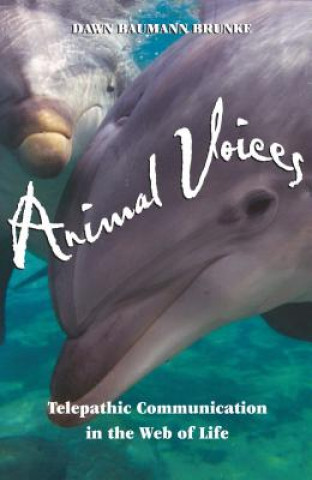 Kniha Animal Voices Dawn Baumann Brunke