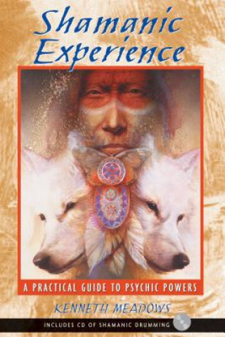 Könyv SHAMANIC EXPERIENCE Kenneth Meadows