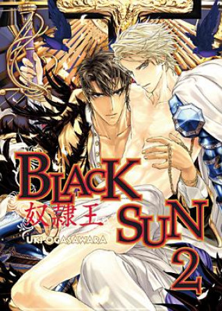Kniha Black Sun Volume 2 (Yaoi) Uki Ogasawara