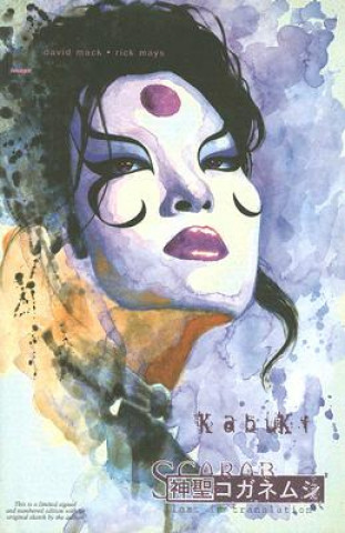 Kniha Kabuki David Mack