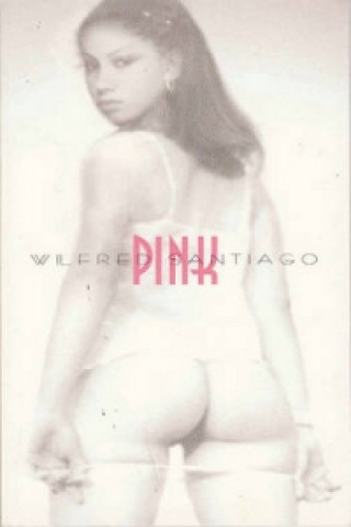 Kniha Pink Wilfred Santiago