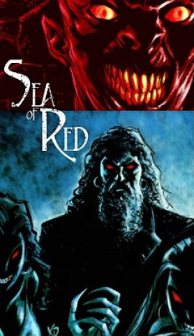 Kniha Sea Of Red Volume 2: No Quarter Kieron Dwyer