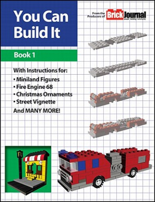 Carte You Can Build It Book 1 Joe Meno