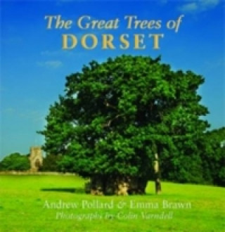 Kniha Great Trees of Dorset Emma Brawn