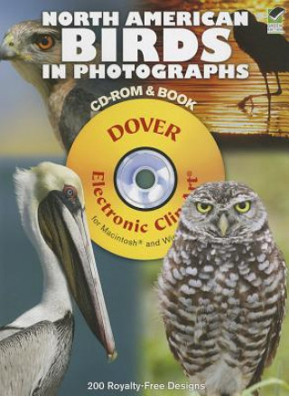 Könyv North American Birds in Photographs Steve Byland