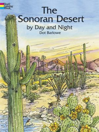 Carte Sonoran Desert by Day and Night Dot Barlowe