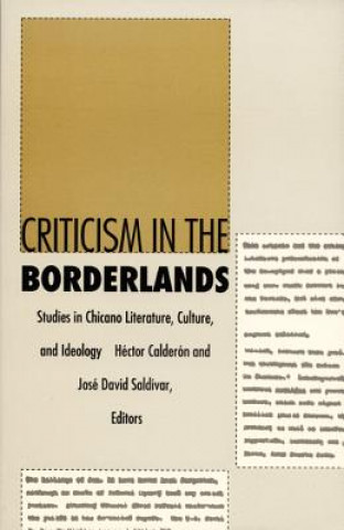 Könyv Criticism in the Borderlands Jose David