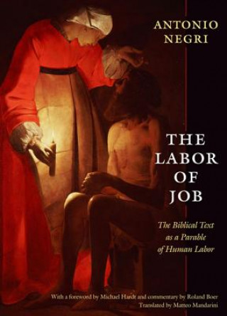 Kniha Labor of Job Antonio Negri