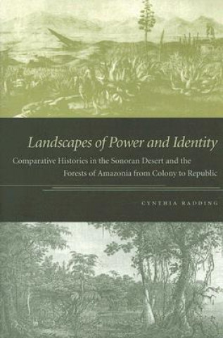 Kniha Landscapes of Power and Identity Cynthia Radding