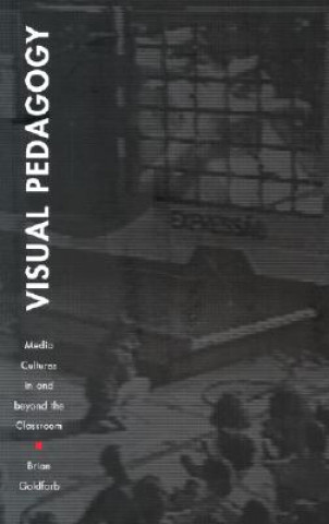 Knjiga Visual Pedagogy Brian Goldfarb