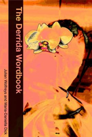 Carte Derrida Wordbook DICK M   WOLFREYS J