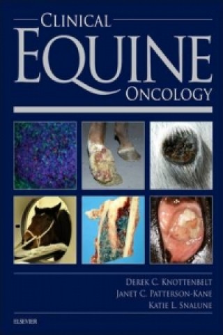 Kniha Clinical Equine Oncology Derek C Knottenbelt