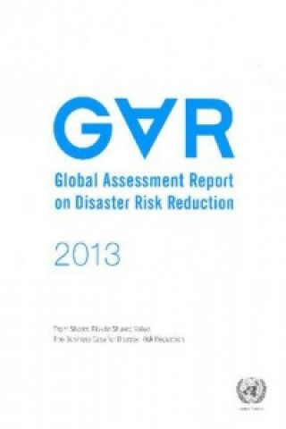 Kniha 2013 global assessment report on disaster risk reduction United Nations: UN/ISDR Latin America