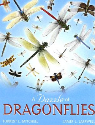 Könyv Dazzle of Dragonflies James L. Lasswell