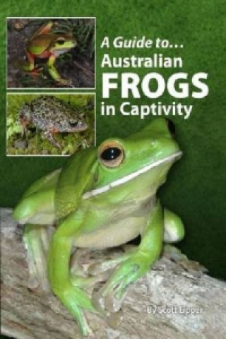 Kniha Australian Frogs In Captivity Danny Brown