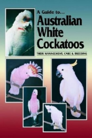 Carte Australian White Cockatoos Chris Hunt