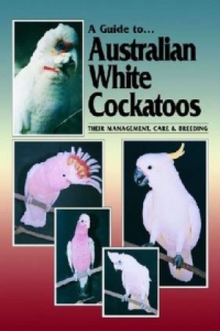 Livre Australian White Cockatoos Chris Hunt