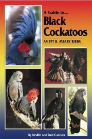 Kniha Guide to Black Cockatoos as Pet and Aviary Birds Enid Connors