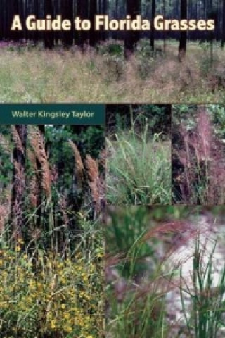 Knjiga Guide to Florida Grasses Walter Kingsley Taylor