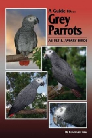 Knjiga Grey Parrots as Pets and Aviary Birds Rosemary Low