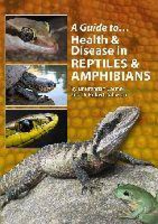 Könyv Guide to Health and Disease in Reptiles and Amphibians Robert Johnson