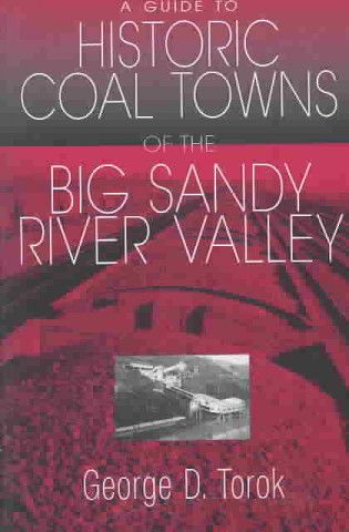 Kniha Guide To The Historic Coal Towns George D Torok