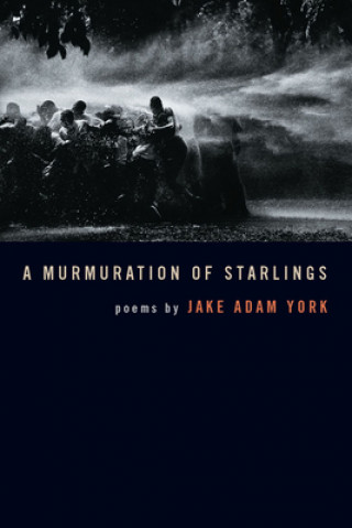 Book Murmuration of Starlings Jake Adam York