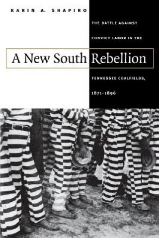 Kniha New South Rebellion Karin A. Shapiro