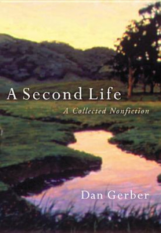 Könyv Second Life Dan Gerber