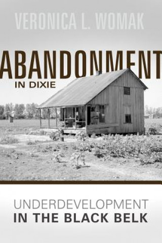 Kniha Abandonment in Dixie Veronica L Womack