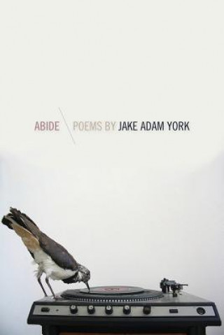 Libro Abide Jake Adam York