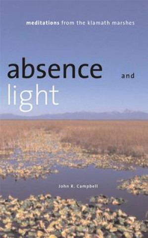 Книга Absence and Light John R. Campbell