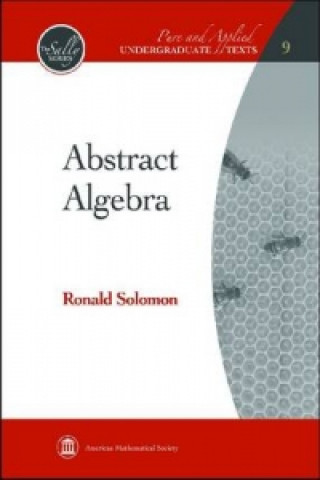 Książka Abstract Algebra Ronald Solomon