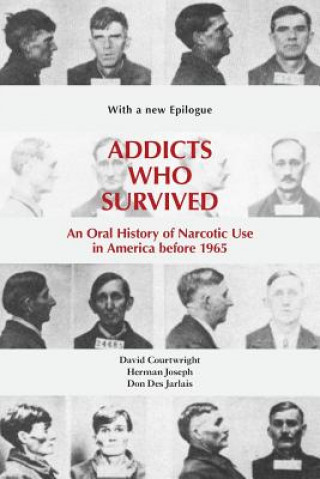 Könyv Addicts Who Survived Don Des Jarla