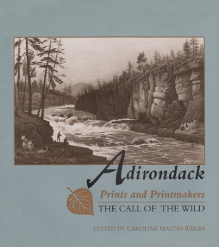 Книга Adirondack Prints and Printmakers Caroline M. Welsh