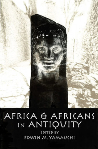 Książka Africa and Africans in Antiquity Edwin M. Yamauchi