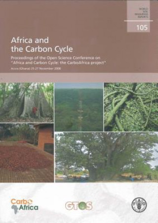 Carte Africa and the Carbon Cycle R. Valentini
