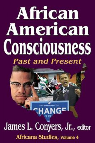 Книга African American Consciousness Conyers